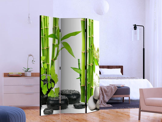 Folding Screen - Bamboos and Stones [Room Dividers] 