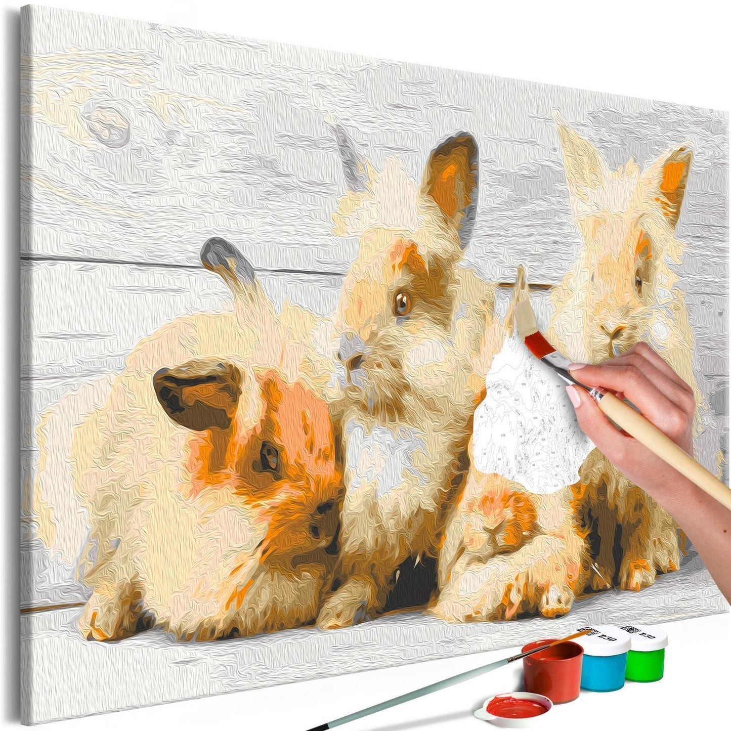Doe-het-zelf op canvas schilderen - Four Bunnies