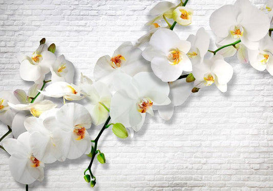 Photo Wallpaper - The Urban Orchid