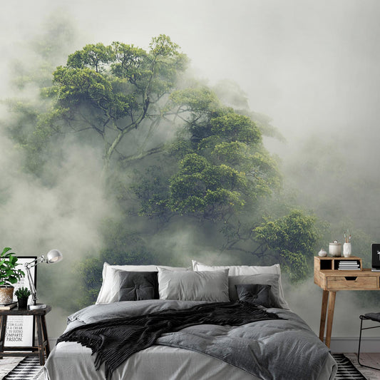 Photo Wallpaper - Foggy Amazon