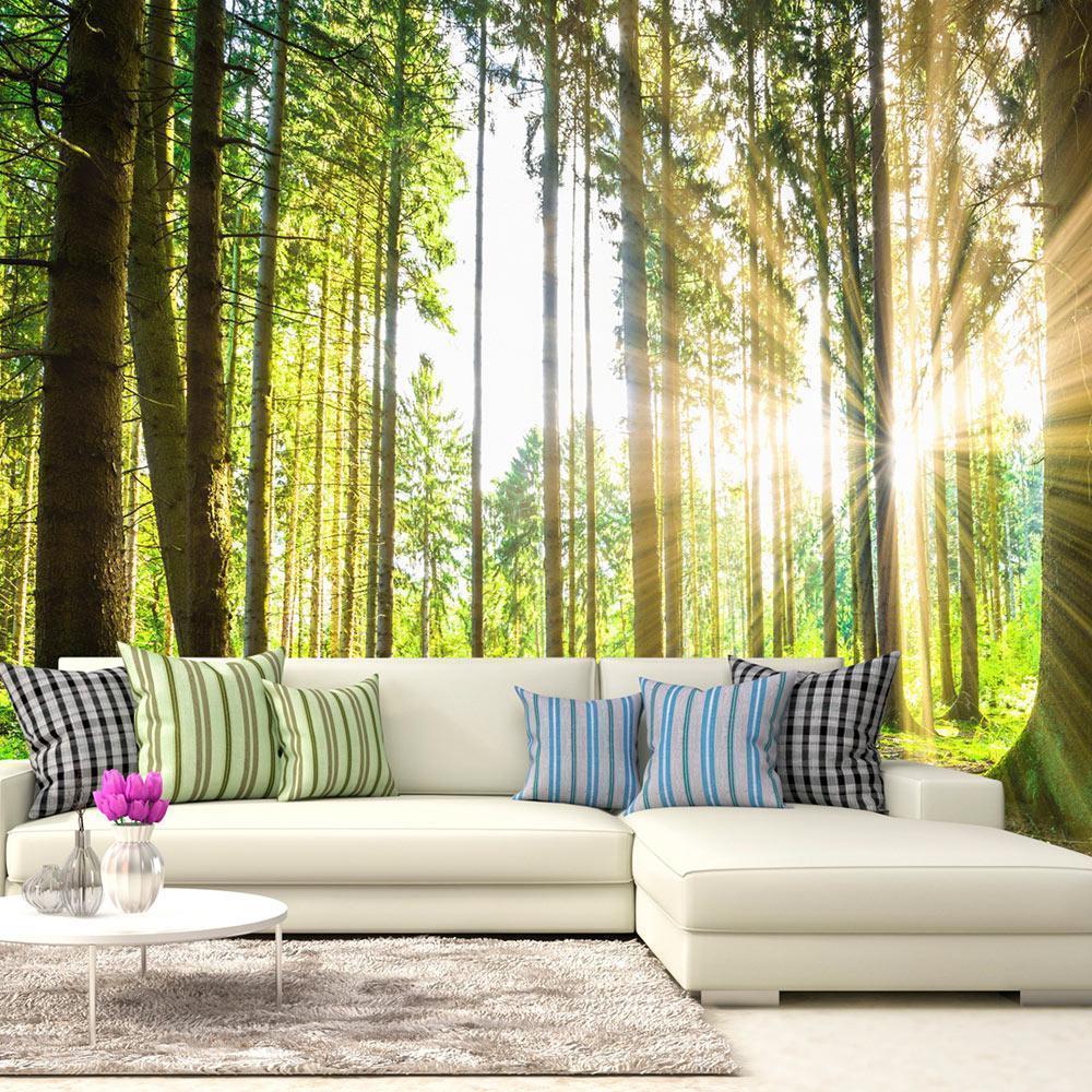Wall Murals - Forest Tales