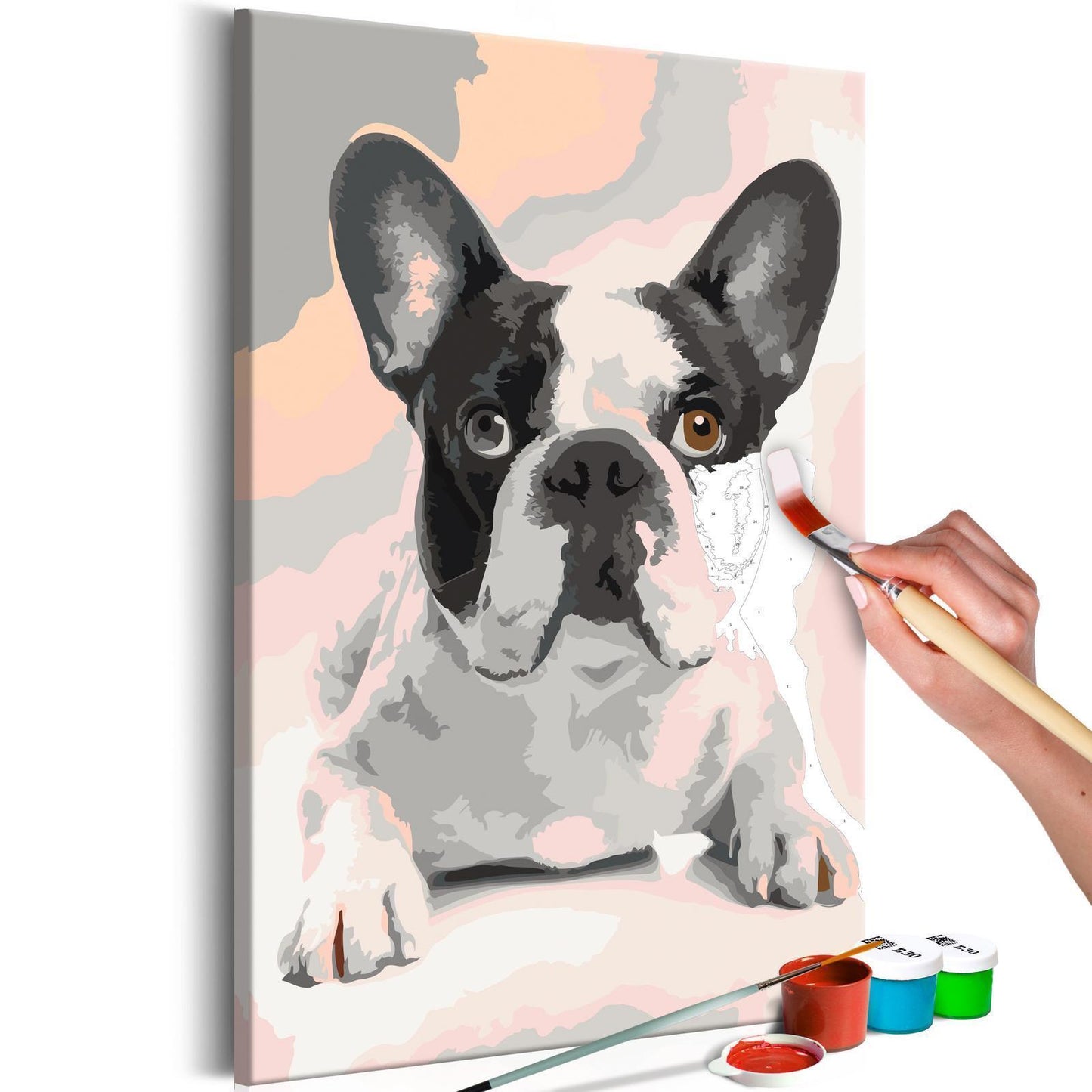 DIY painting on canvas - French Bulldog 