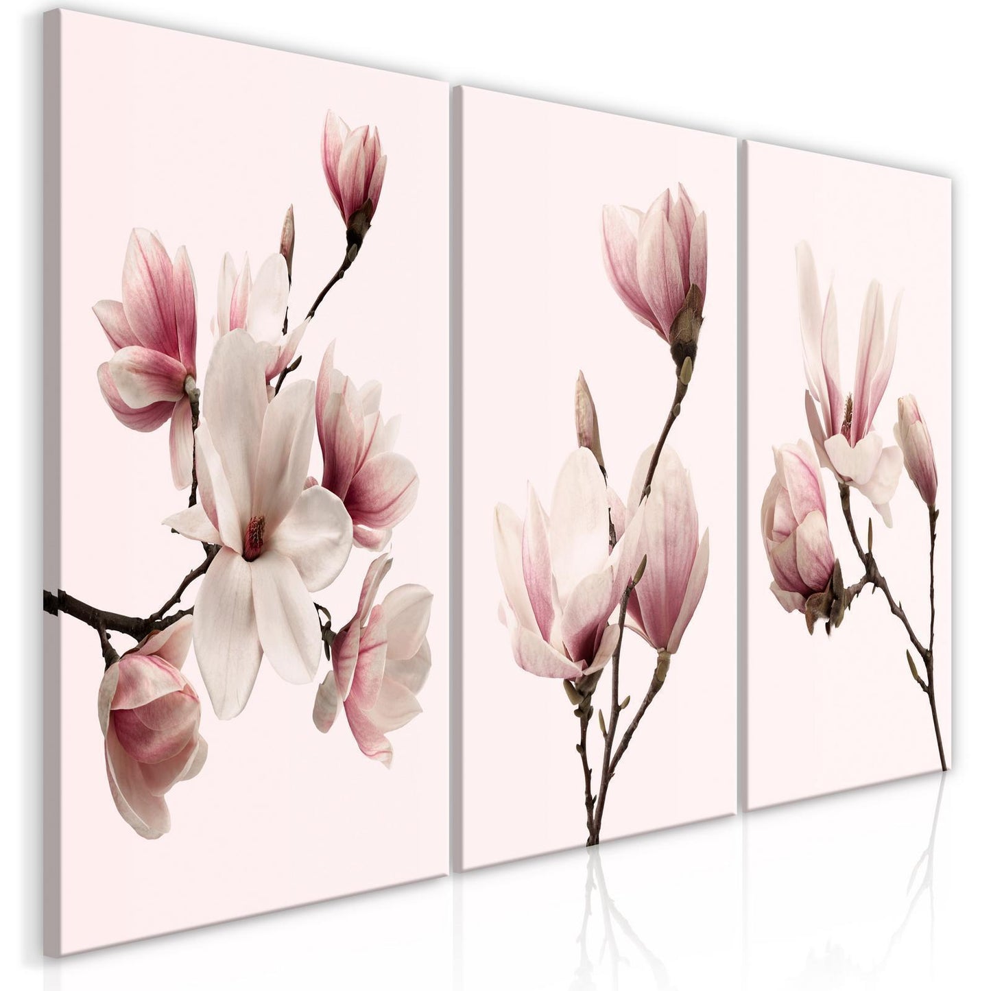 Schilderij - Spring Magnolias (3 Parts)