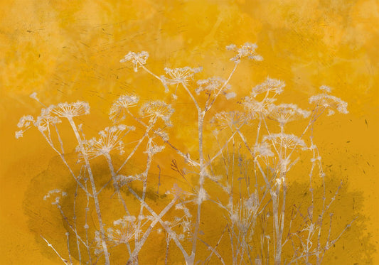 Fotobehang - Meadow Bathed in the Sun