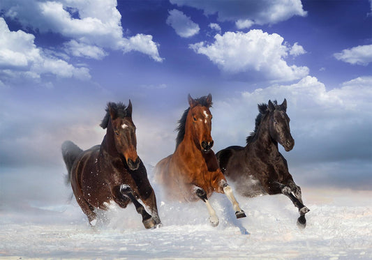 Self-adhesive photo wallpaper - Horses in the Snow