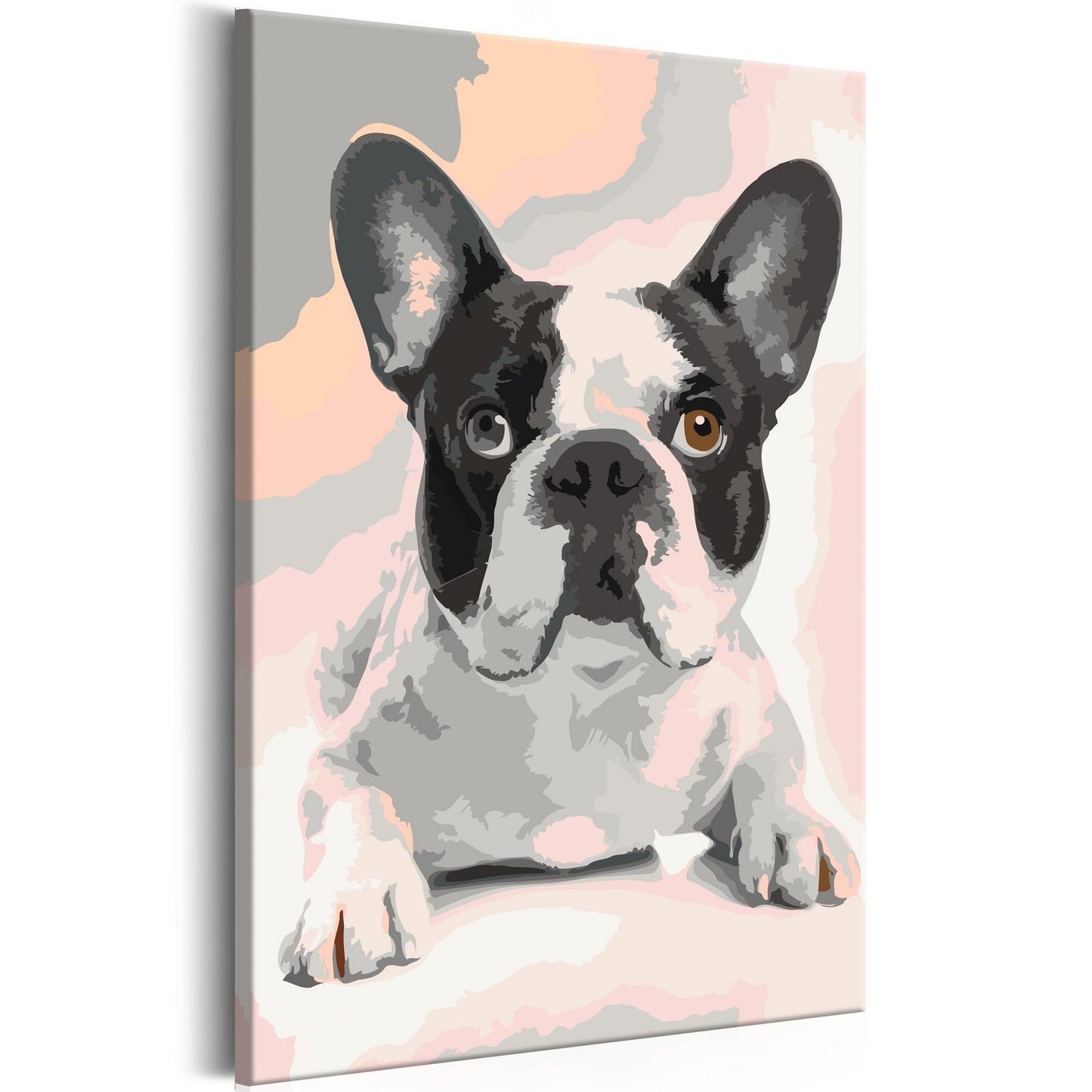Doe-het-zelf op canvas schilderen - French Bulldog