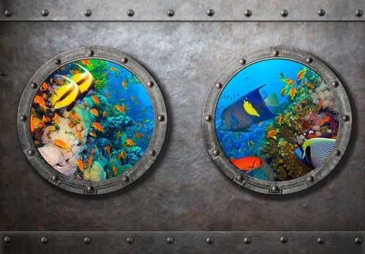 Photo Wallpaper - Window to the underwater world