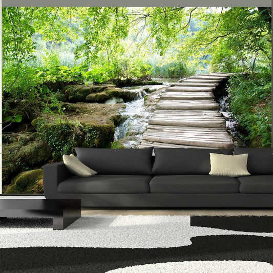 Wall Mural - Forest path