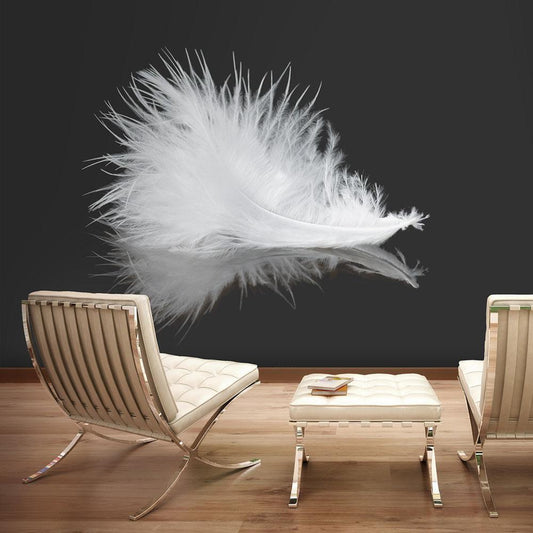 Wall Mural - White feather