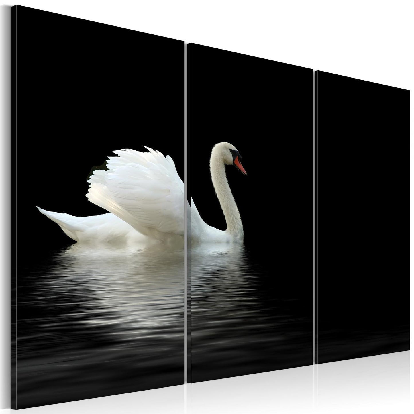 Schilderij - A lonely white swan