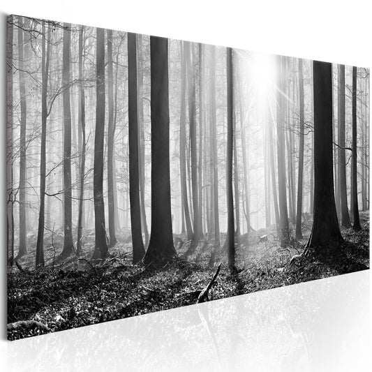 Painting - Black and White Forest