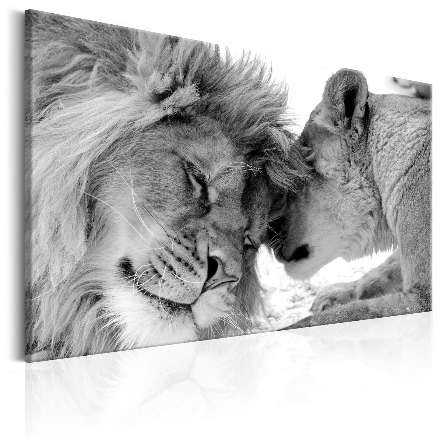 Schilderij - Lion's Love