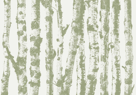 Photo Wallpaper - Stately Birches - Third Variant