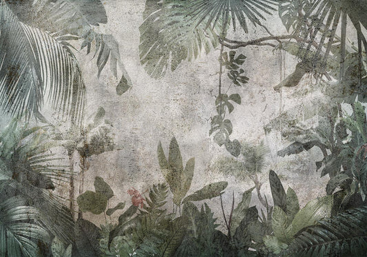 Wall Mural - Rain Forest in the Fog