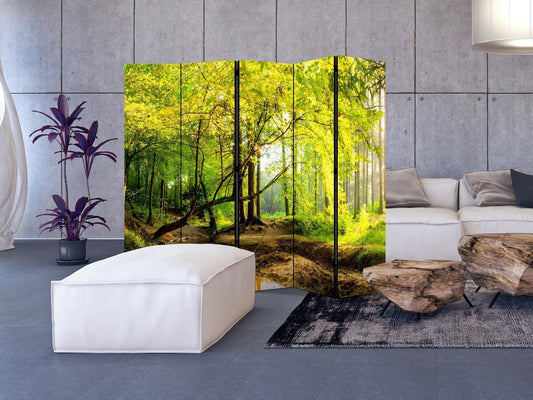 Folding Screen - Forest Clearing II [Room Dividers] 