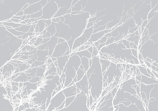 Fotobehang - White Trees