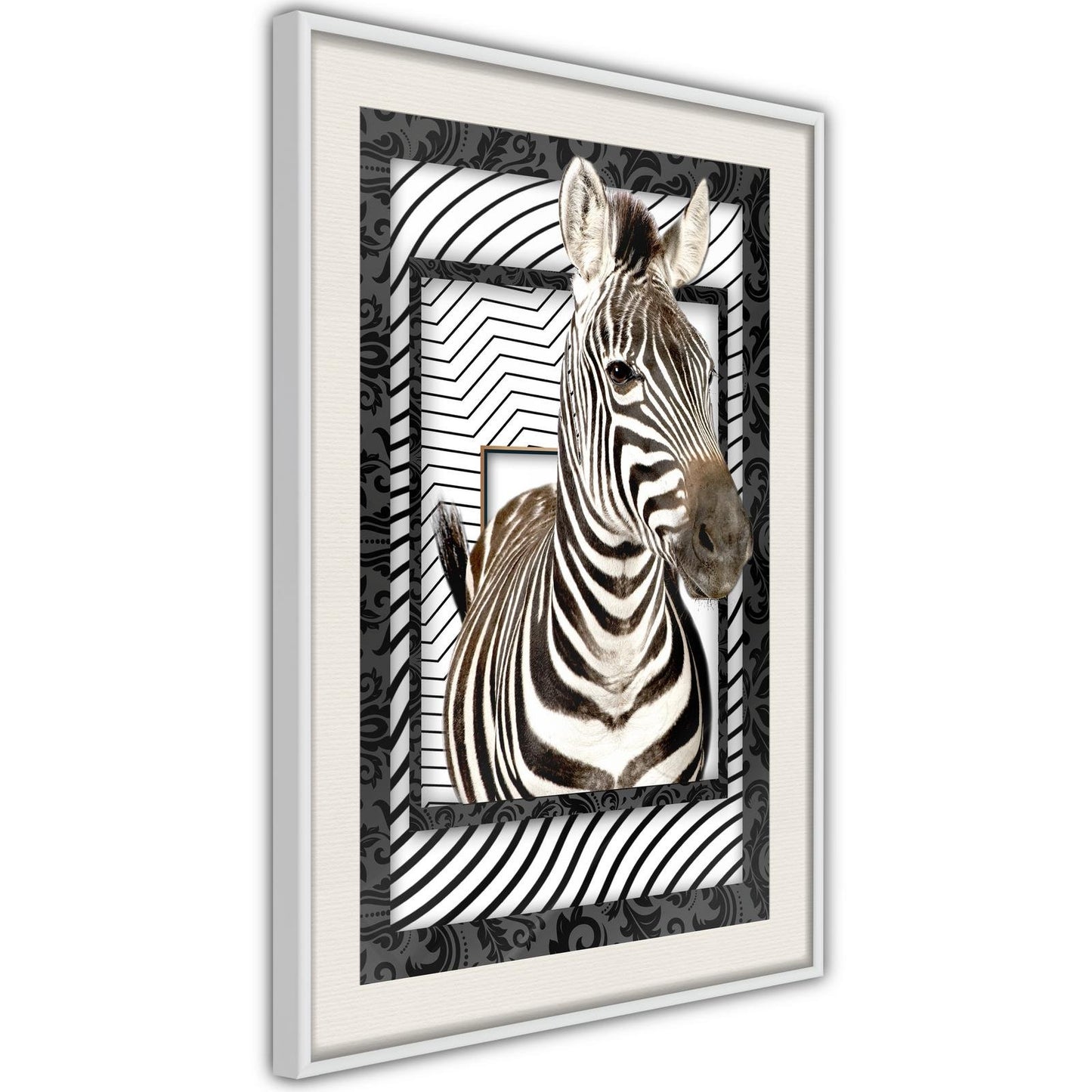 Zebra in the Frame