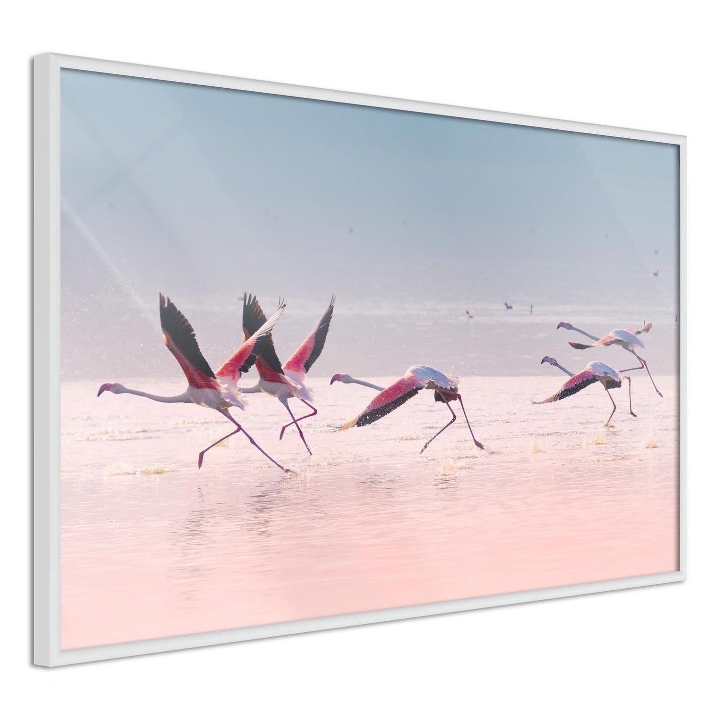 Flamingos brechen in einen Flug ein
