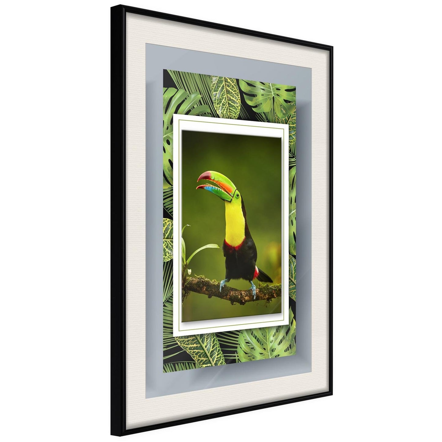 Toucan in the Frame