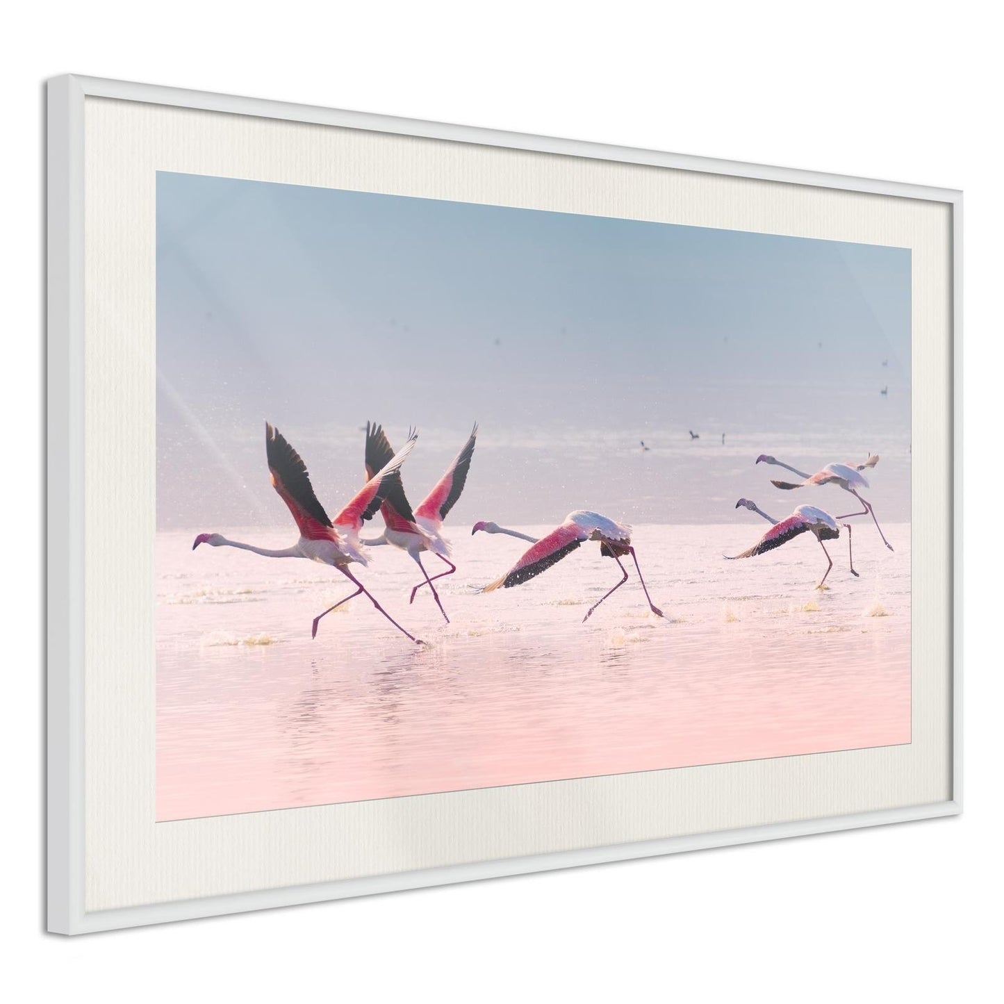 Flamingos brechen in einen Flug ein