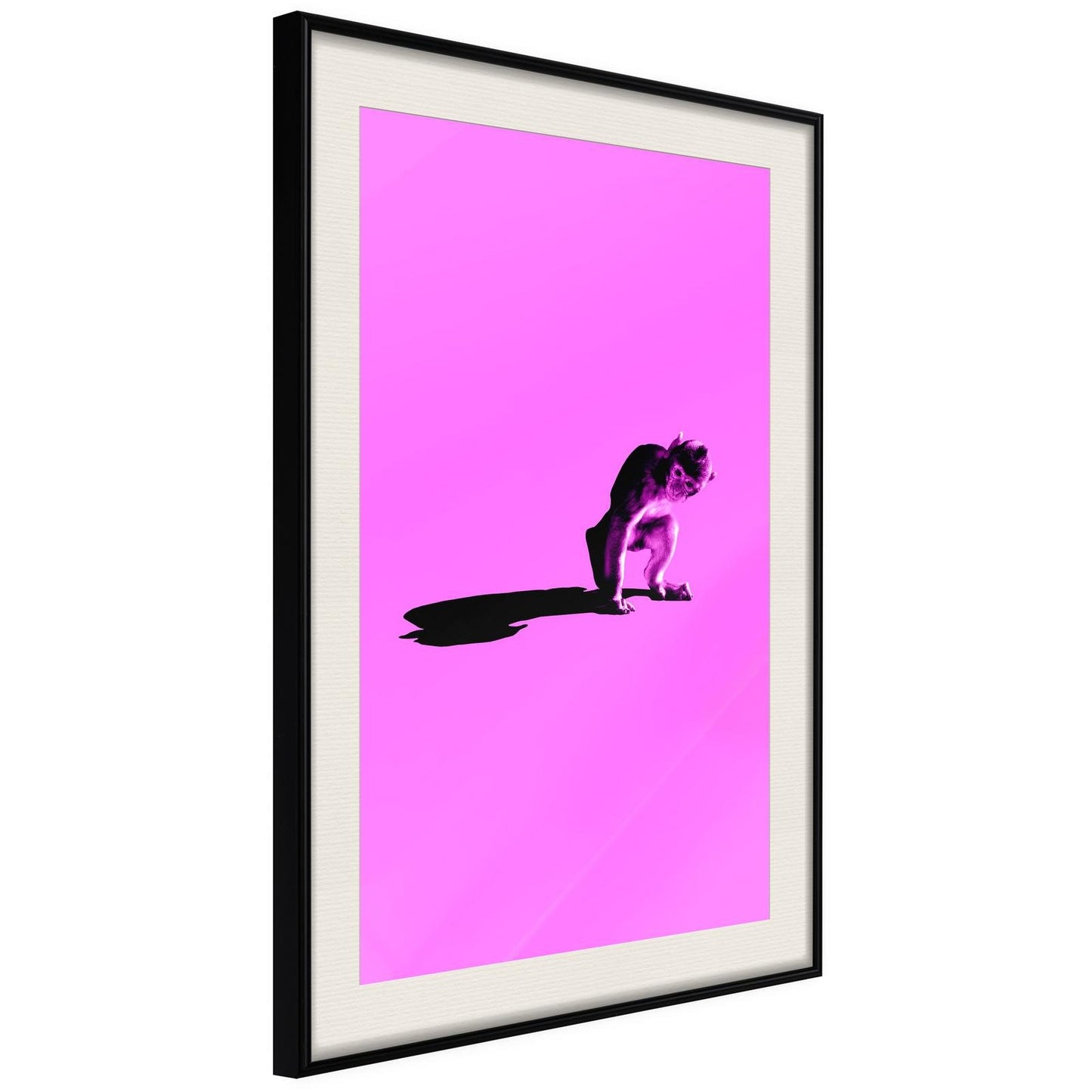 Monkey on Pink Background